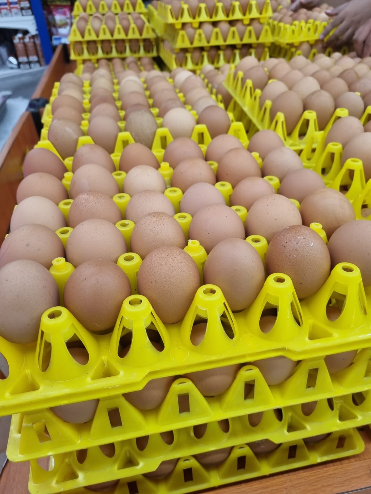 Teks foto: Telur Ayam Ras Negeri yang dijual di pasar swalayan. (Dok. Aksipembaruan)