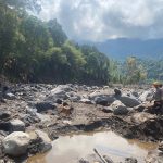 Teks Foto: Petugas kerahkan anjing pelacak K9 untuk melakukan pencarian korban bencana alam di Nagakeo, NTT. (Dok. Divhumas Polri)
