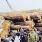 Teks foto: Petugas Gabungan terdiri dari Satgas Penertiban Kawasan Hutan (PKH) menyita sejumlah pohon kayu dari ilegal logging di Mentawai, Sumatera Barat. (Dok. Puspenkum Kejagung)