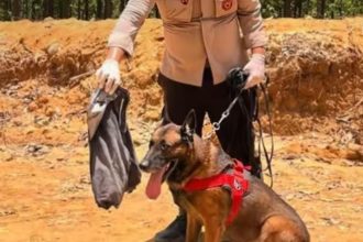 Teks foto: Reno Anjing K9 Belgian Malinois Gugur Saat Bencana Tanah Longsor di Agam, Sumatera Barat. (Dok. Polda Riau)